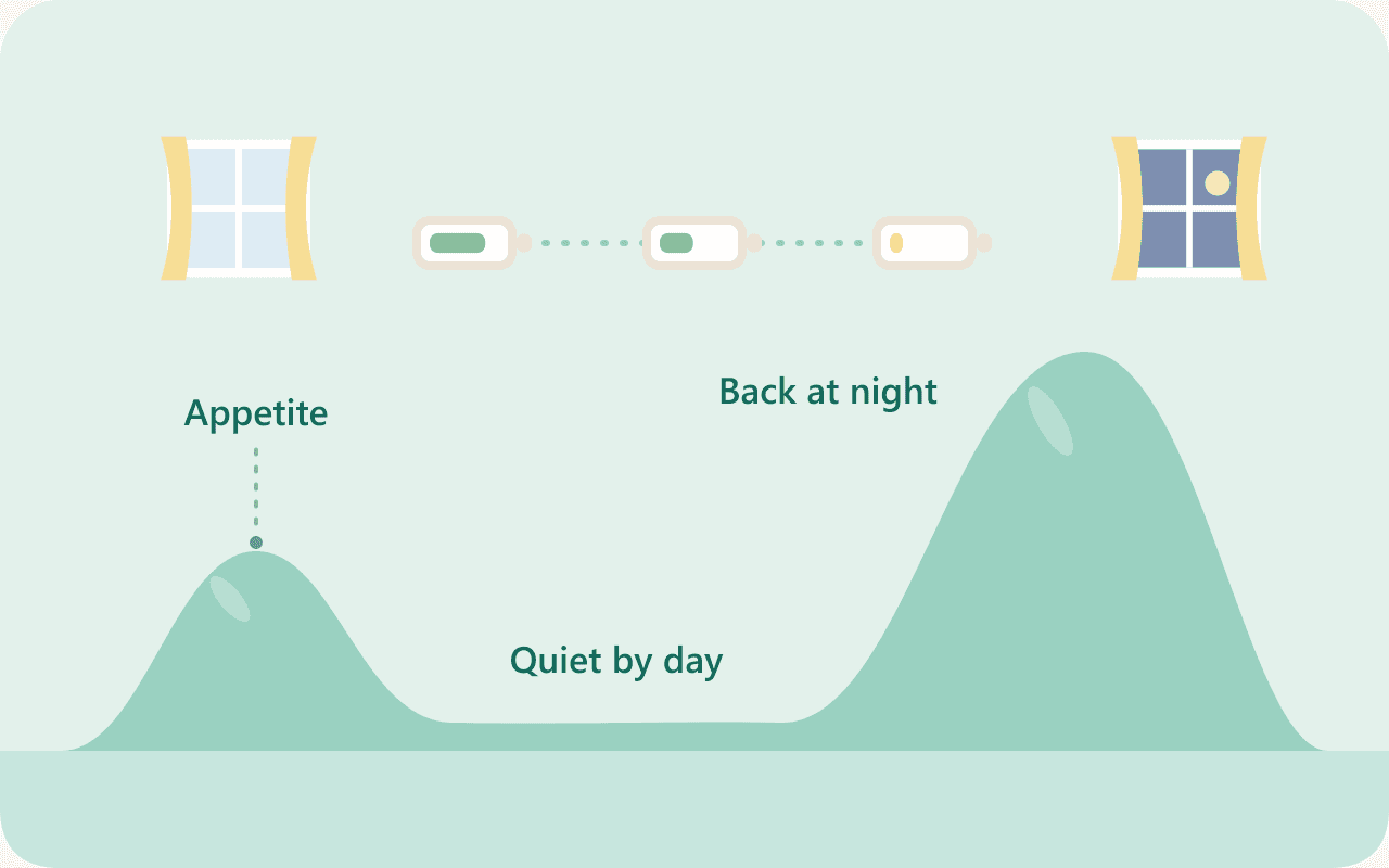 ADHD Medication and Appetite: Why Your Child Eats Nothing All Day, Then Everything at Night
